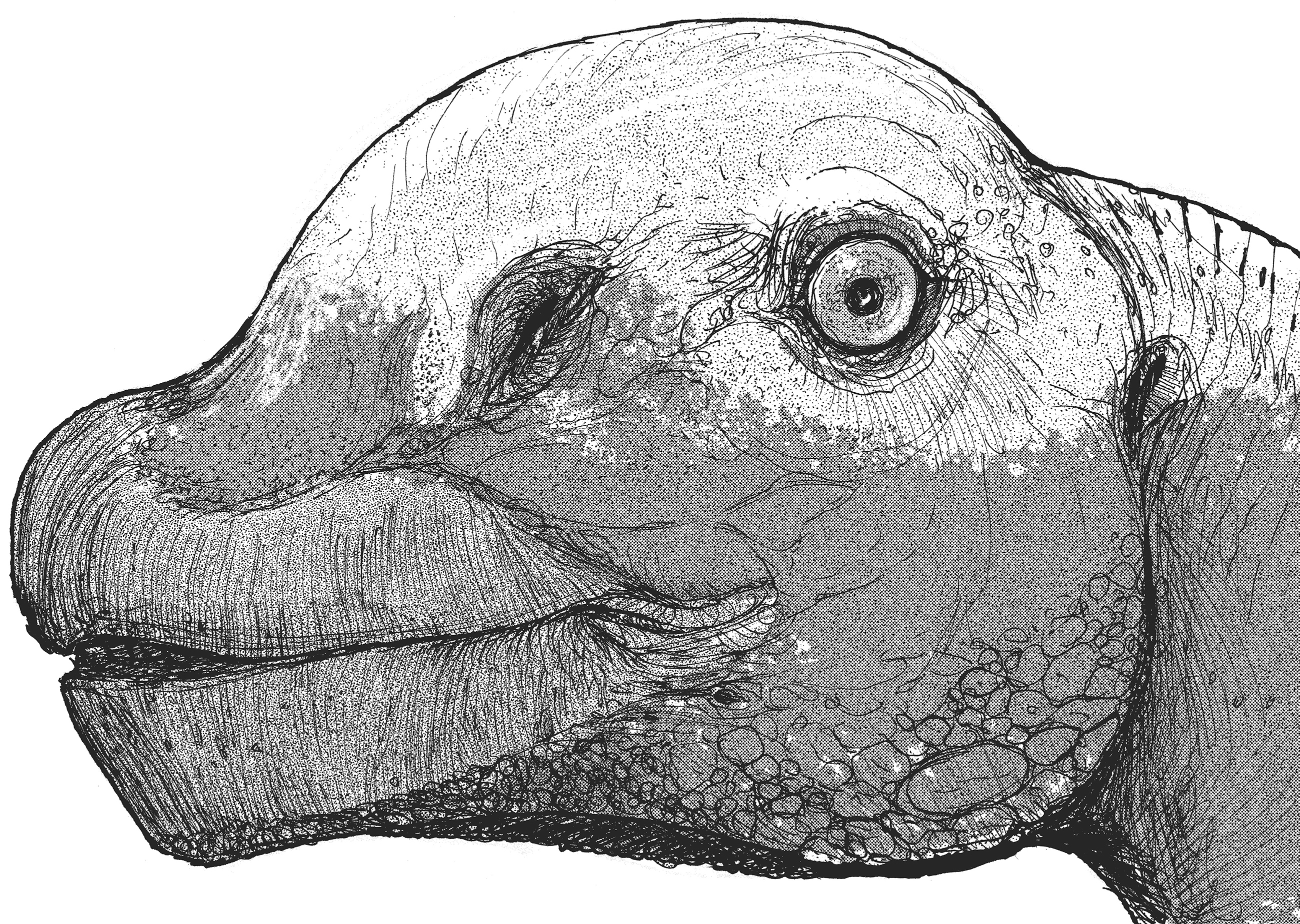 Dino Art] What the preggers T-rex may have looked like. What's the  consensus on proto-feathers? : r/Dinosaurs