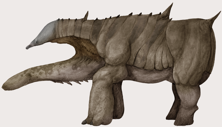 melanorotaurus